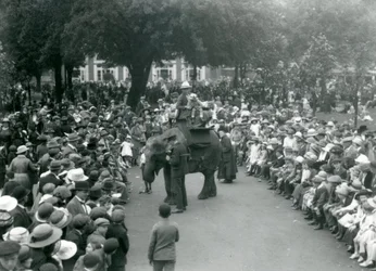 Crowds of visitors watch an elephant ride at London Zoo, August bank holiday